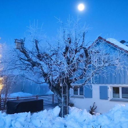 Vila Knuschbrhaisle Oberreute Exteriér fotografie