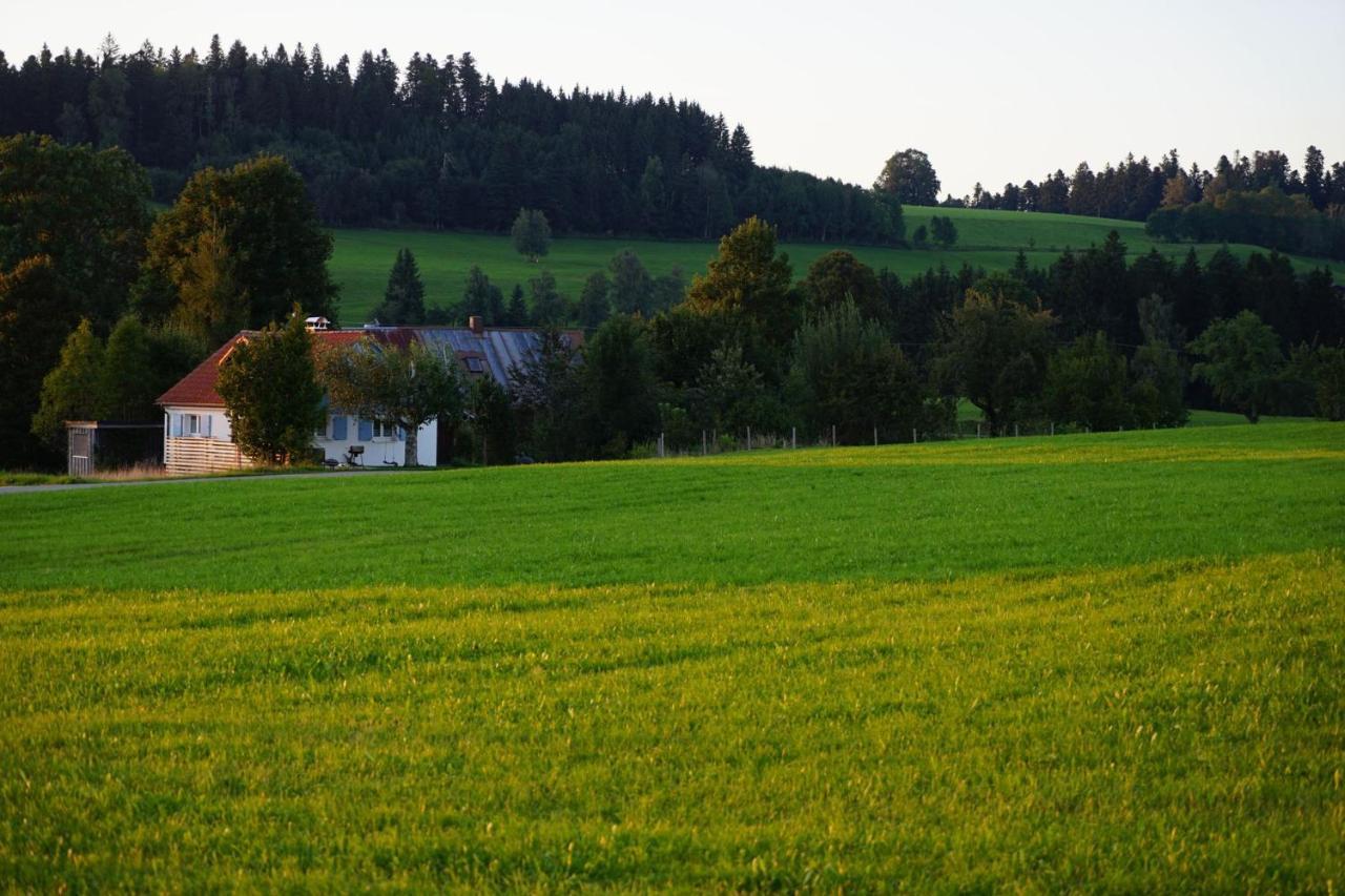 Vila Knuschbrhaisle Oberreute Exteriér fotografie